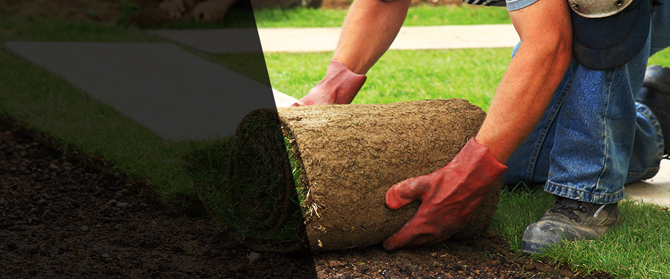 Albany Landscapers